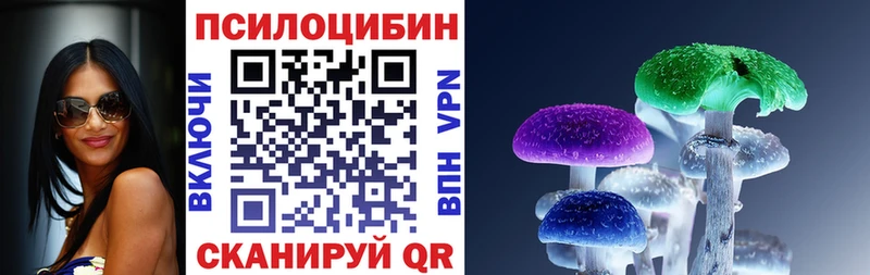 OMG   где найти наркотики  Первомайск  Галлюциногенные грибы Cubensis 